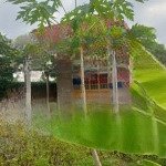 Bán đất tại tỉnh lộ 865, 2,16 tỷ, 660m2, pháp lý đầy đủ
