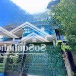 Gấp rất gấp!! giảm ngay 10 tỷ nhà mt đường số 37, an khánh,q2 hầm 5 tầng tm( dt-7x19m) chỉ còn33 tỷ