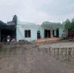 Chủ cần bán 178m2, mt9.7, ô tô, 8.5 tỷ, bắc hồng, đông anh.