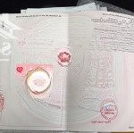 Chủ kẹt tiền bán nhanh 1 lô đã có sổ riêng ở dự án đức phát 3 75m2 giá 709 triệu ( giá thật 100%)
