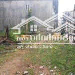 đất giá đầu tư_ dt khủng 527m2_ vị trí vàng full thổ cư _ gần chợ long thạnh mỹ _ cạnh winhomes.