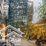 Cần bán tòa nhà 90 m 8 tầng 7m mặt tiền phố nguyên hồng vỉa hè ô tô kinh doanh