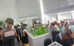 Bán shophouse tại gia khải luxury, 2,69 tỷ vnd, 70m2, 2pn, 2wc