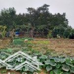 Chủ cắt lỗ .bán đất tại xã tân xã, thạch thất, hà nội giá siêu hời 2,2 tỷ, 60m2 .