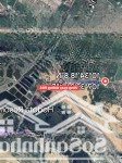 Bán đất biển bình châu dt:482m2 có 40m2 thổ cư cách vòng xoay đường ven biển 994 300m, tiềm năng