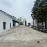 Cho thuê kho xưởng tại đường phan trọng tuệ , ql 1a . dt từ 100-2000m2