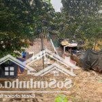 Bán đất tại bắc hồng, 2,8 tỷ, 50m2, pháp lý đầy đủ, mặt tiền 4m