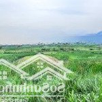 Chuyển nhượng 3000m2 tại yên bài, thổ cư 400m2