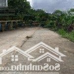 Chính chủ ket bán 400m2 giá 11ty5 hẻm 1/ nguyễn xiển gần vin