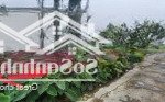 Chủ cần tiền gửi bán lô đất đẹp long lanh tại thôn liễu dinh bắc, trường thọ