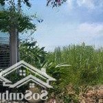 đất kdc lập phúc. chỉ 46tr/m2. ngang 7m x 21m. đất hiếm, giá đầu tư.