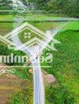 óc cho thuê đất - ngay điểm xuống cao tốc tỉnh lộ 3 suối cát ( 230m² đất 2mt) liên hệ :0333039068