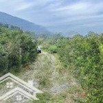 đất : tiến xuân _ thạch thất _ hà nội . view đẹp nằm trong thung lũng
+ diện tích 1800m có 200m đất
