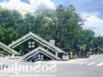 Bán căn góc 2 mt trương công định p14 tân bình 4 x 18 nhà 3 lầu giá 18.5 tỷ tl