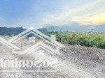 Cam hiệp nam -- 4000 m2 -- 40 x 100 -- qh 2045 đất ở -- giá chỉ 990 triệu
