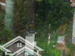 Bán đất tại phụng châu, chương mỹ, hà nội, 54m2, mặt tiền 4m, đường 4m đẹp