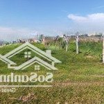 Bán đất tại đường 823, xã đức lập thượng, đức hòa, long an, 1,15 tỷ, 153 m2, chính chủ giá siêu hời