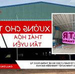 Cho thuê nhà xưởng mới xây tại thái hòa – tân uyên, bình dương | diện tích 1.329m²