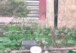 Tôi chính chủ, cần bán 56m2 đất đông dư, ngay hồ, mặt tiền 4.5m, ngõ thông xe 7 chỗ, giá 5.8 tỷ