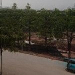 Bán đất tại thị trấn trâu quỳ, 155 triệu/m2, 90m2, chính chủ bán gấp