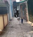 Bán nhà ngũ hiệp dt 45m2 giá 5,1 tỷ không qua đường tàu