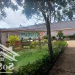 Bán nhà xưởng sx gỗ kèm máy móc tại kcn xã phú hội, đức trọng, lâm đồng, 40 tỷ, 27000 m2