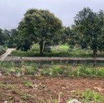 Bán đất 701m2 tại đường 446, thạch thất, giá thỏa thuận, đẹp, nhiều tiện ích