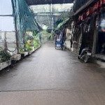 đất hoa hậu, view hồ, đường ô tô tránh, chưa đến 9 tỷ