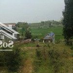 đất tiến xuân thạch thất hà nội lô 1. với dt 3600m có 400m tc lô 2. với dt 2100m có 400m ont
giá