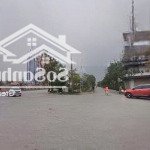 Bán đất lô góc khu phân lô lê hồng phong- mặt đường 30m- vị trí siêu đẹp -lô góc 2 mặt đường-nở hậu