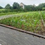 Bán đất tại xã bình yên, thạch thất, hà nội, giá siêu hời 3,2 tỷ, 102,5m2
