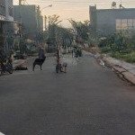 đất ở đẹp 55m2, sổ riêng, cách ngã 3 long thuận 500m, đường long thuận quận 9 giá 2 tỷ495