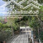Nhà cấp 4, 300m2 full thổ cư. mặt tiền đường 387, tân an hội