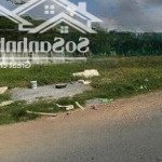 Bán gấp đất đẹp , 435tr,shr, mt đường mỹ lộc , cần giuộc ,long an gần trường thpt mỹ lộc 2km