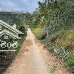 Bán đất quốc lộ 20, xuân trường, đà lạt, 1,5 tỷ, 2937 m2 . đường ô tô
