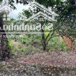 Nhà dân cắt bán 200m2 có 100m2 thổ cư còn lại đất vườn giá chỉ nhỉnh 1 tỷ ạ đông xuân, quốc oai hn