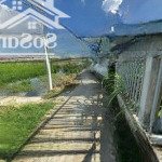 Chính chủ bán đất thuận thành cần giuộc 300m2 full thổ - 12x25 - giá 1.5 tỷ