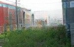 Mặt đường đại thắng- hoà nghĩa - 273m2 giá chỉ 350 triệu gia lộc