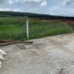 Bán đất gần bệnh viện đa khoa gò công, xã tân xã, long hòa, gò công, tiền giang. 130m2/500tr