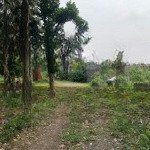 Chính chủ cần bán lô đất nghỉ dưỡng rộng gần 1020m2 tại nhuận trạch, lương sơn, hòa bình