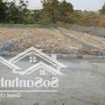 Bán đất tại yên thọ, như thanh, thanh hóa, 220 triệu, 152m2 chỉ với giá tốt