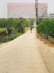 Chỉ 1.35tỷ, đất kim sơn, sơn tây 112.3m², nở hậu. ôtô tránh, cách trục 416 chỉ 50m, gần hồ đồng mô