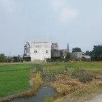 Bán đất tặng nhà 2 mặt tiền rạch nhà vuông, bình mỹ, củ chi diện tích 1455m2 có sẵn 368m2 thổ cư