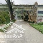 Chỉ 72m2 1ty 728tr tại hải thành - dương kinh - hải phòng