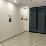 Cho thuê căn hộ vinhomes golden river ba son, 19 triệu, 50m2, q1, hcm giá siêu hời