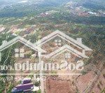 Kẹt quá kẹt bán lỗ sâu lô đất 950tr còn 520tr tại lộc an, bảo lâm