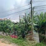 Cho thuê đất trống, hợp đồng dài hạn