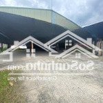 Cho thuê đất + kho tại biên hòa - giá tốt, dt 2500m2, giá 25tr/tháng, lh 0906694959