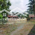 Nhà vườn tân hiệp - hóc môn 1350m2 đất thổ giá chỉ 8.9 tỷ tl