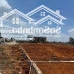 Bán lô đất 1000m2 mặt đường 17m, giá chỉ 1,3 tỷ